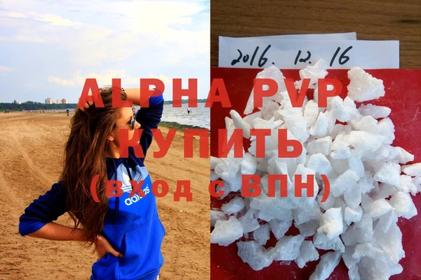 spice Арсеньев