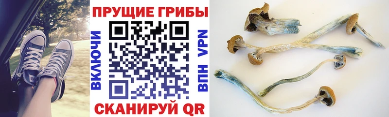 Псилоцибиновые грибы MAGIC MUSHROOMS  Сердобск 